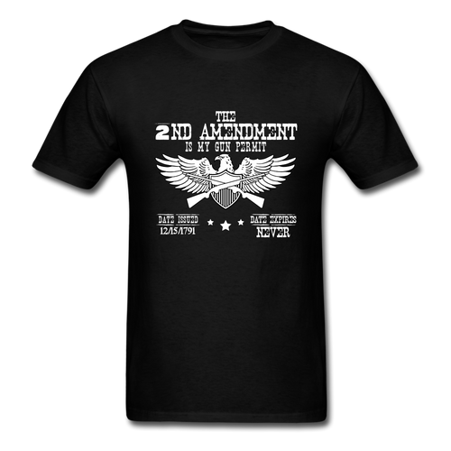 2nd Amendment T-Shirt - black